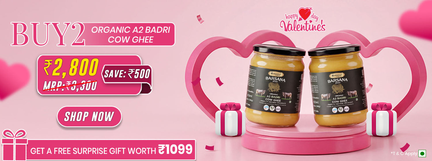 Barsana Magic and buy pakc of two a2 badri ghee and spread free