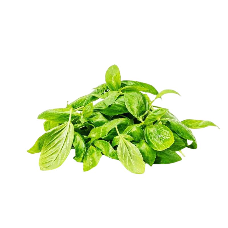 Barsana Magic and Bunch of fresh basil leaves on a white background