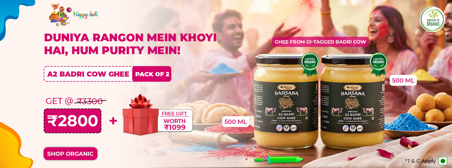 Barsana Magic and buy pakc of two a2 badri ghee and spread free