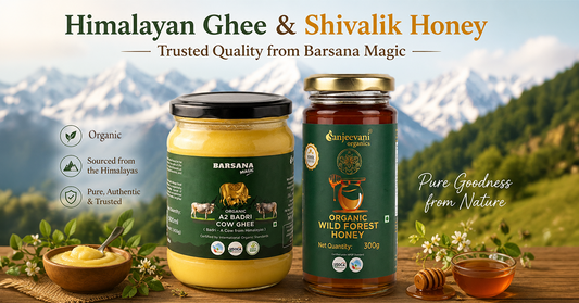 Himalayan Ghee and Shivalik Honey – Trusted Quality from Barsana Magic