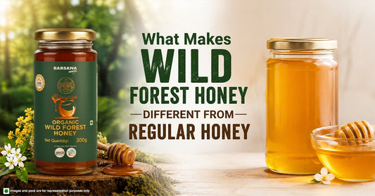 What Makes Wild Forest Honey Different from Regular Honey