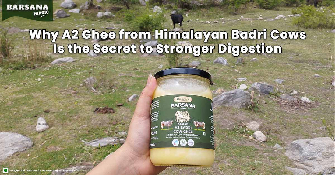 Why A2 Ghee from Himalayan Badri Cows Is the Secret to Stronger Digestion