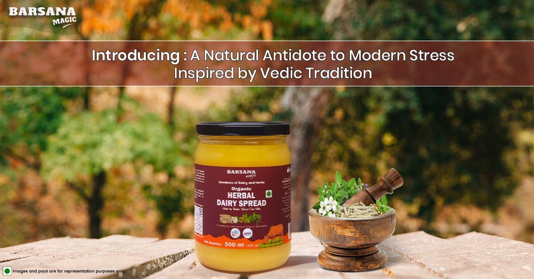 Barsana Magic and herbal dairy spread