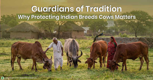 Guardians of Tradition: Why Protecting Indian Breeds Cows Matters.