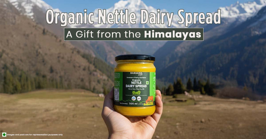 Barsana Magic and nettle dairy spread blog image