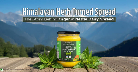 Barsana Magic and nettle dairy spread