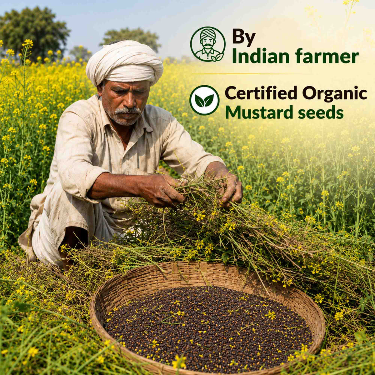 Organic – Sunflower, Mustard & Groundnut Oil Combo
