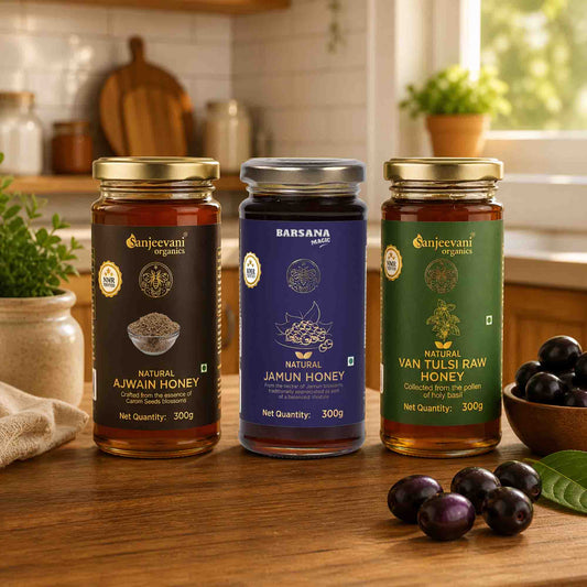 Natural Ajwain Honey + Van Tulsi Raw Honey + Jamun Honey (Pack of 3)