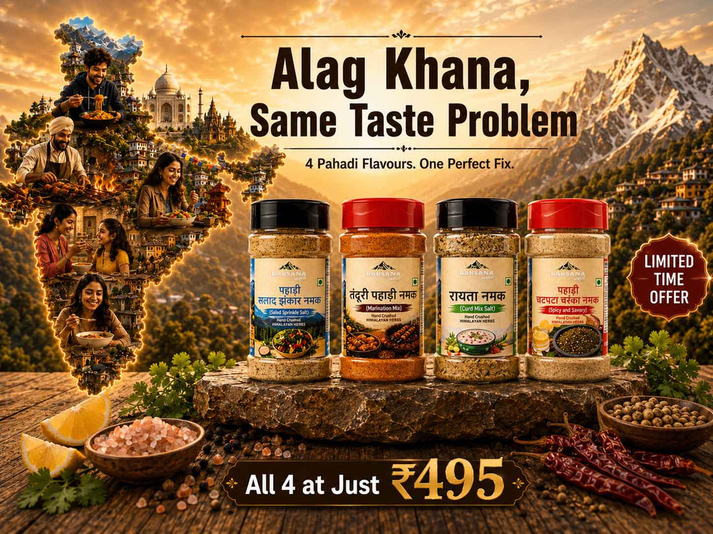 Barsana Magic and Four jars of Alag Khana spices displayed on a stone slab with a scenic mountain backdrop and collage of people on the left. Text reads 'Alag Khana, Same Taste Problem' and 'All 4 at Just ₽495'.