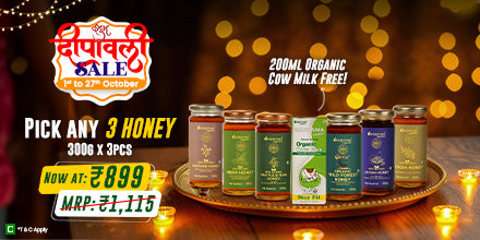 Barsana Magic and Promotional banner for Shubh Navratri Sale with honey jars at 899 offer on a green background.