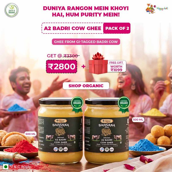 Organic A2 Badri Cow Ghee 500mlx2 | Free Surprise Gift