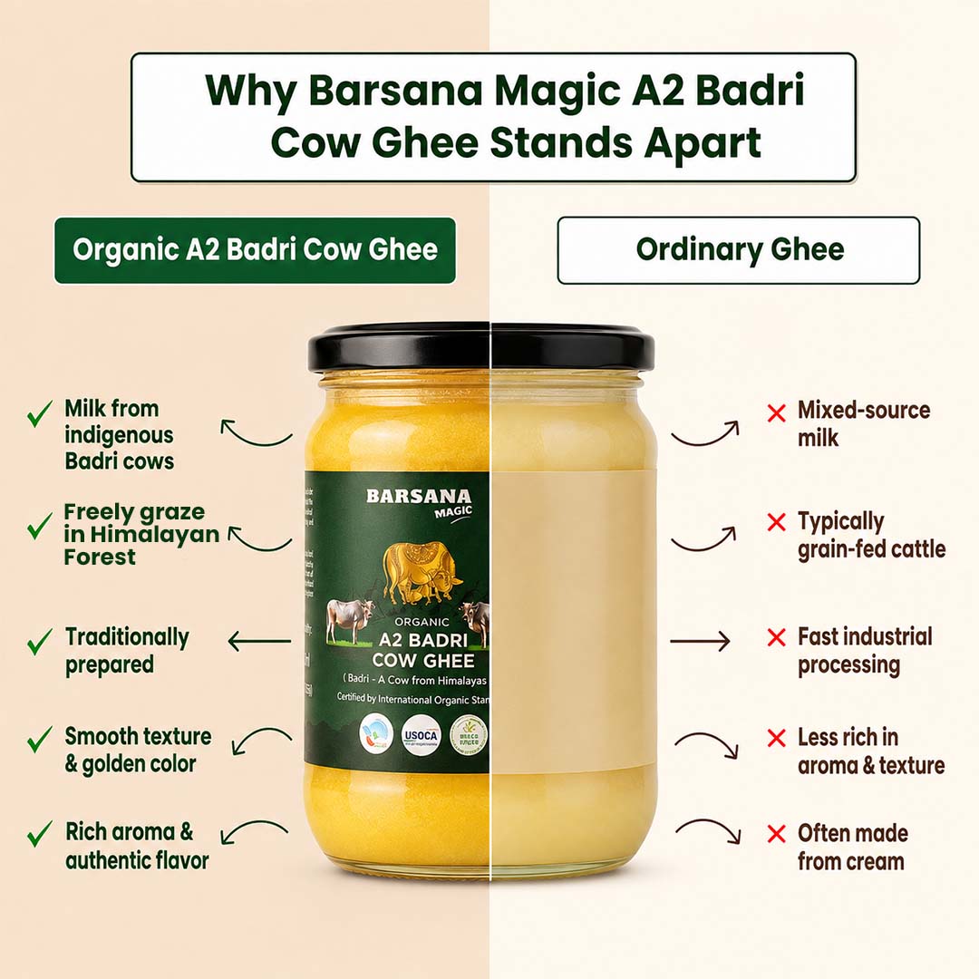 Barsana Magic and A promotional infographic for Barsana Magic A2 Badri Cow Ghee, showing a single glass jar centered on a light beige background. The jar is split vertically into two halves: one labeled 'Organic A2 Badri Cow Ghee' with green checkmarks listing benefits like milk from indigenous cows and free grazing, and the other labeled 'Ordinary Ghee' with red X marks listing drawbacks like mixed-source milk and industrial processing.