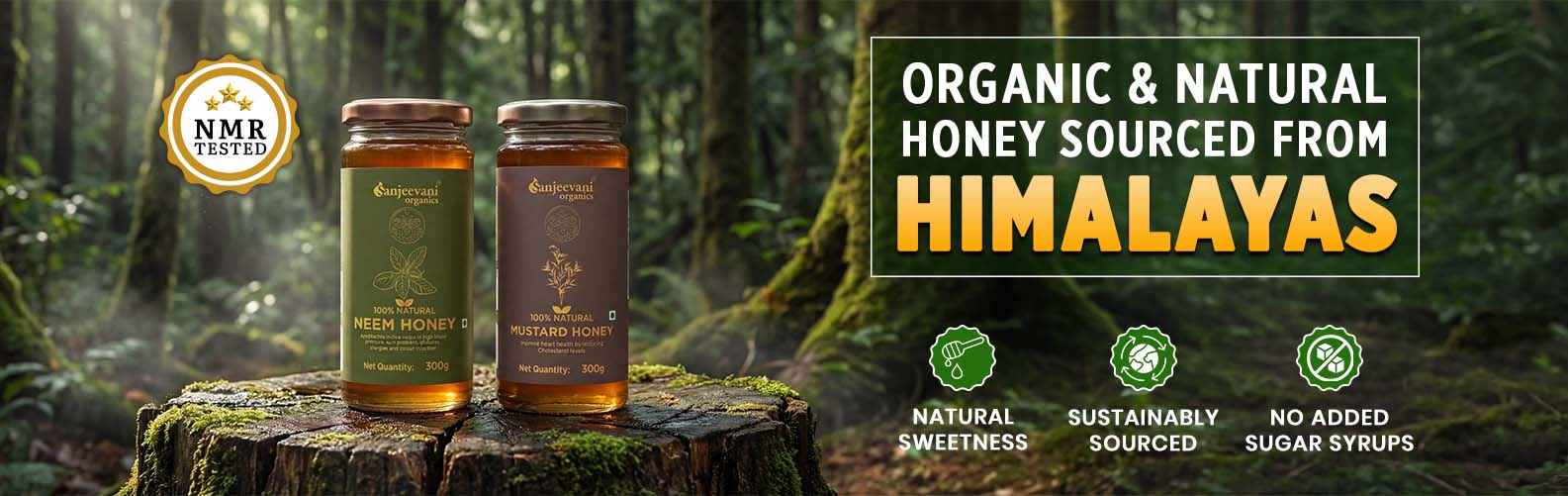 Barsana Magic and Two jars of honey on a tree stump with a forest background, featuring text about organic and natural honey from the Himalayas.
