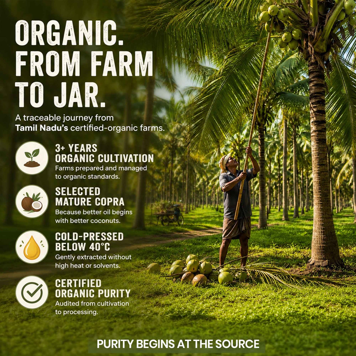 Organic Virgin Coconut Oil  500ml