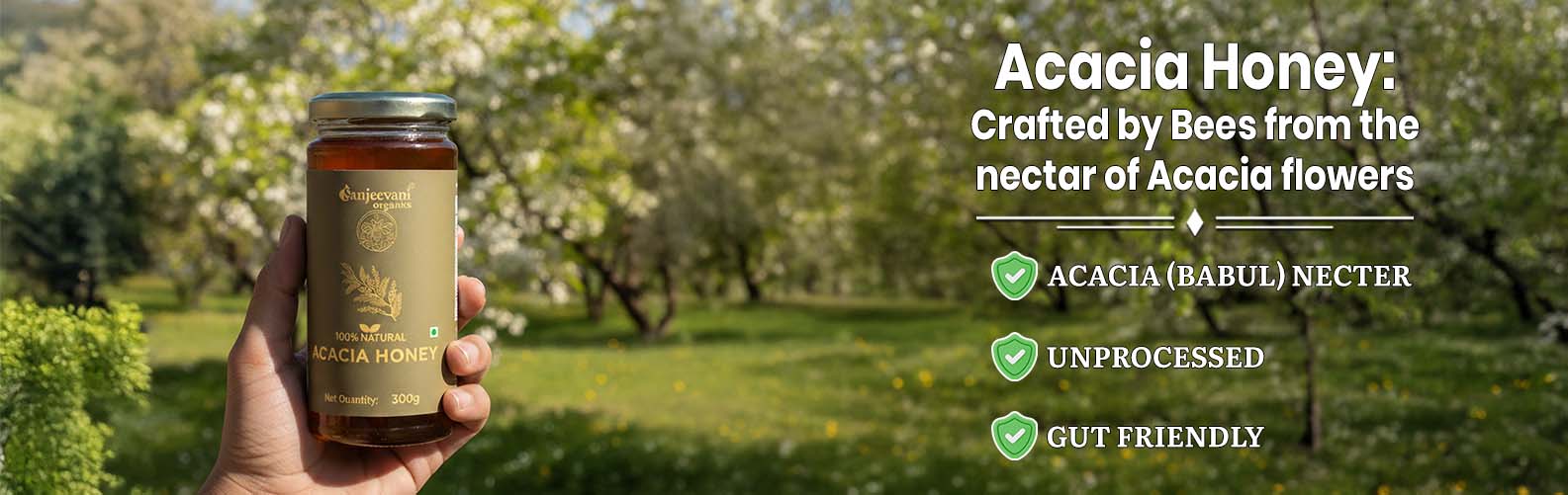 Barsana Magic and Hand holding a jar of acacia honey with an orchard background