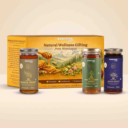 Barsana Magic and natural wellness gift set featuring three honey jars in front of their illustrated packaging box. The set includes Acacia Honey, Van Tules Raw Honey, and Jamun Honey, displayed on a light beige background.