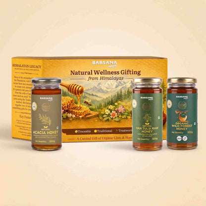 Barsana Magic and A boxed honey gift set from Barsana on a warm beige background. The set includes one large yellow gift box and three glass jars of honey: Acacia Honey, Van Tules Raw Honey, and Organic Wild Rose Honey.