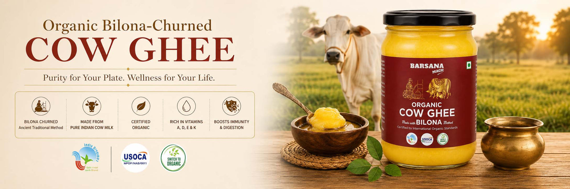 Barsana Magic and A jar of Bara Baxi Organic Cow Ghee Bilona is displayed on a rustic wooden table alongside a bowl of yellow ghee, a brass pot, and a cow in a grassy field. The left side features text detailing product benefits and certification logos.