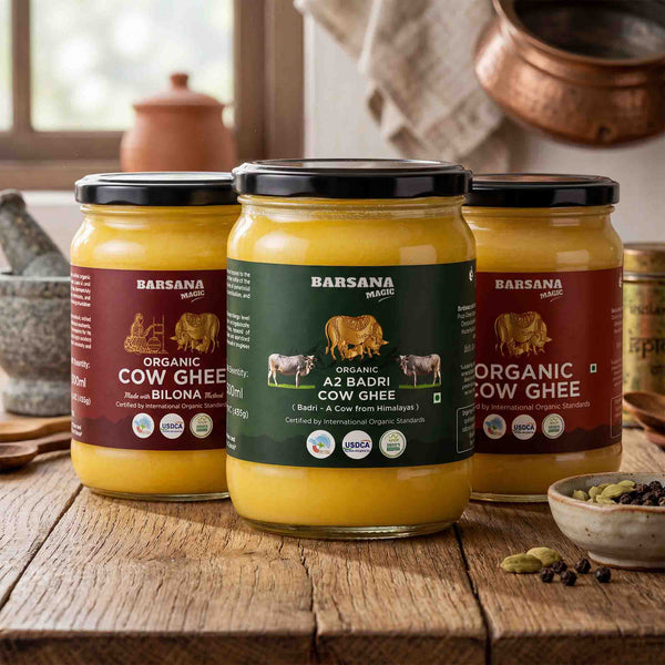 Organic A2 Badri Cow Ghee | Organic Cow Ghee | Organic Bilona Cow Ghee 500ml (pack of 3)