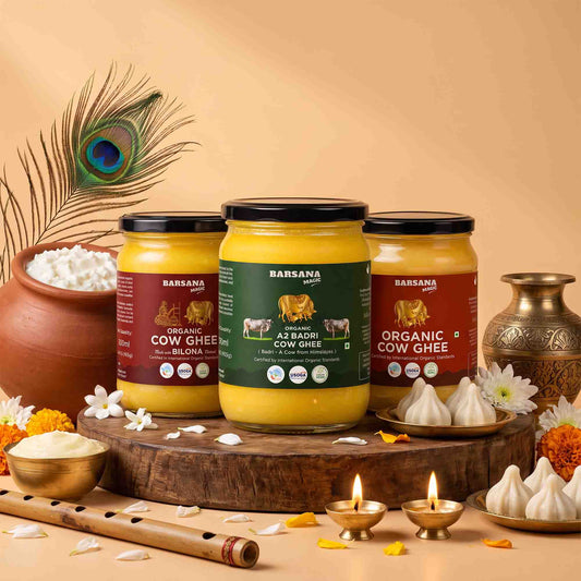 Organic A2 Badri Cow Ghee | Organic Cow Ghee | Organic Bilona Cow Ghee 500ml (pack of 3)