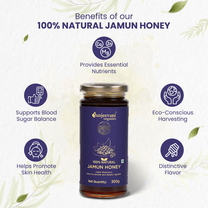 100% Natural Neem Honey + 100% Natural Van Tulsi Raw Honey + 100% Natural Jamun Honey ( Pack of 3 )