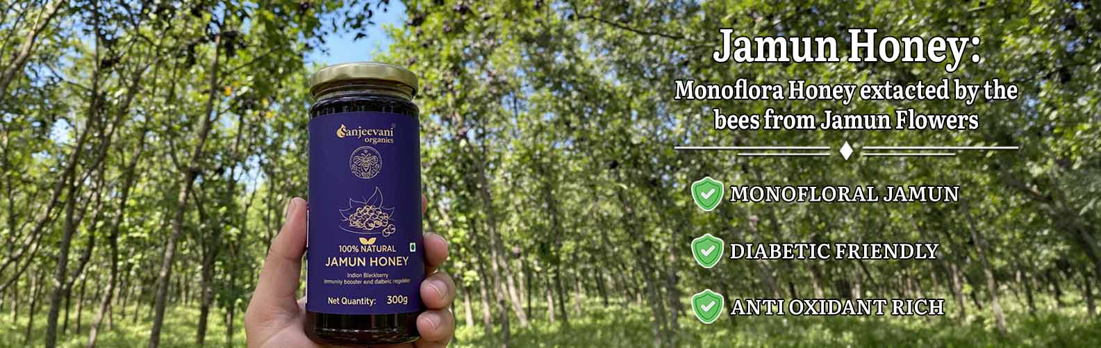 Barsana Magic and Hand holding a jar of Jamun Honey with forest background