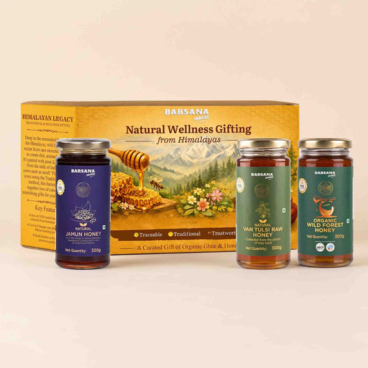 Barsana Magic and Natural Wellness Gifting set featuring a large yellow box and three glass jars of honey: Jamun Honey, Van Tuls Raw Honey, and Wild Rose Honey, arranged on a light beige background.