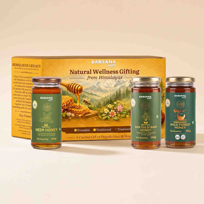 Barsana Magic and Legacy Natural Wellness Gifting set featuring a large yellow gift box and three glass jars of honey: Neem Honey, Van Tules Raw Honey, and Organic Wild Rose Honey, arranged on a light beige background.