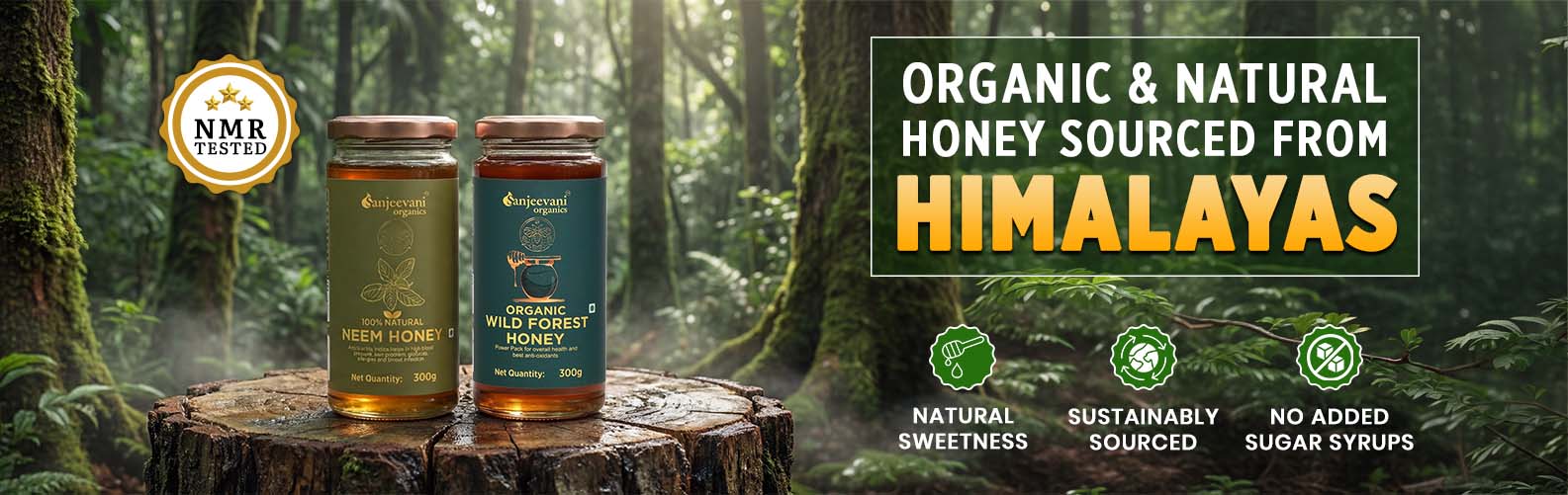 Barsana Magic and Two honey jars on a log with a forest background and text about organic and natural honey from the Himalayas.