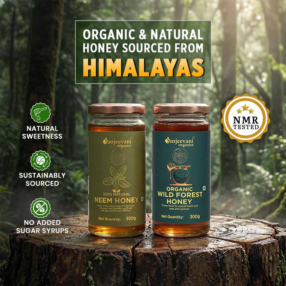 Barsana Magic and Two jars of organic honey from the Himalayas on a wooden stump with a forest background.