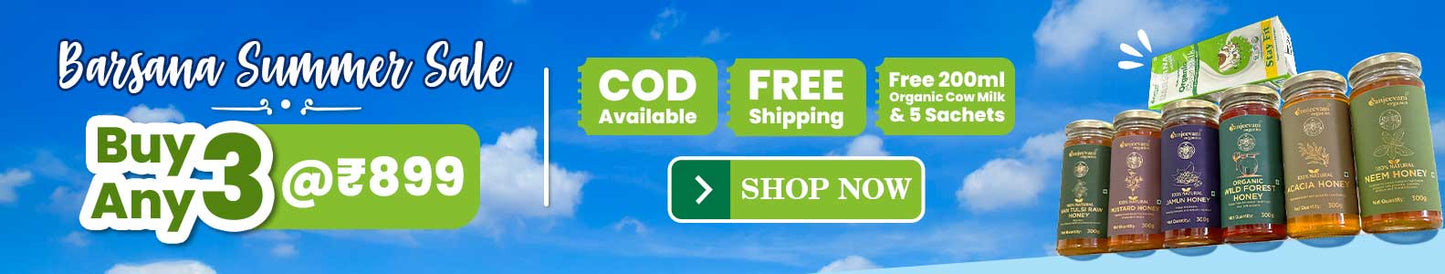 Summer Sale  Pick Any 3 at @899 | Limited Time Offer