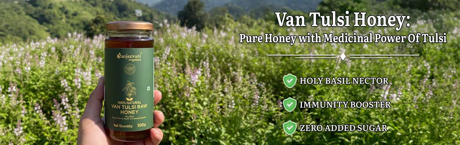 Barsana Magic and Van Tulsi Honey jar held in hand with a scenic background