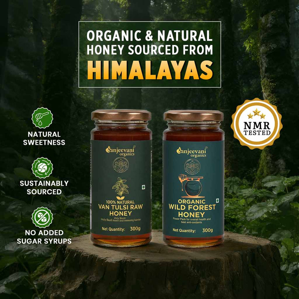 Barsana Magic and Two jars of organic honey on a wooden stump with a forest background and branding elements.