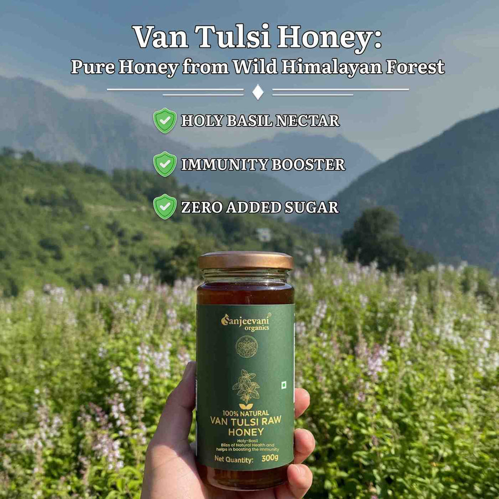 Barsana Magic and Hand holding a jar of Van Tulsi Honey with a scenic background of mountains and greenery.