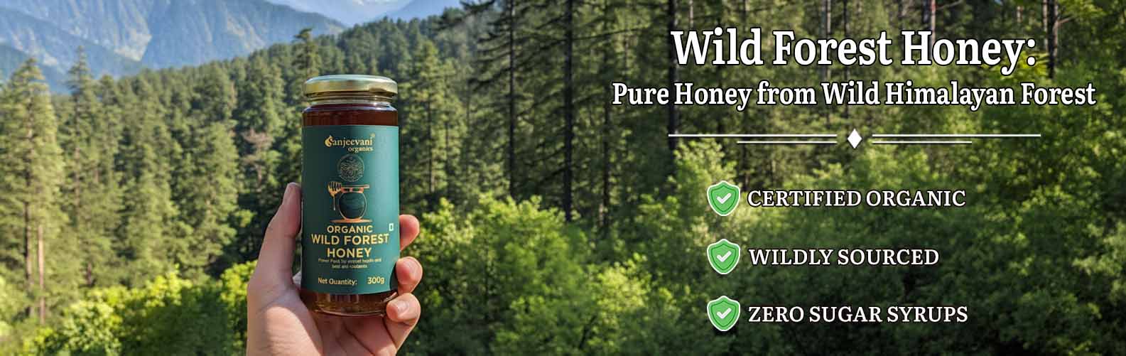 Barsana Magic and Hand holding a jar of Wild Forest Honey with a forest background