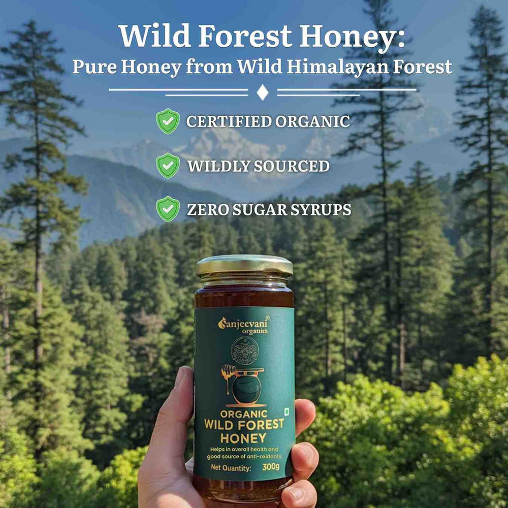 Barsana Magic and Hand holding a jar of Sanjeevani Organic Wild Forest Honey with a forest and mountain background